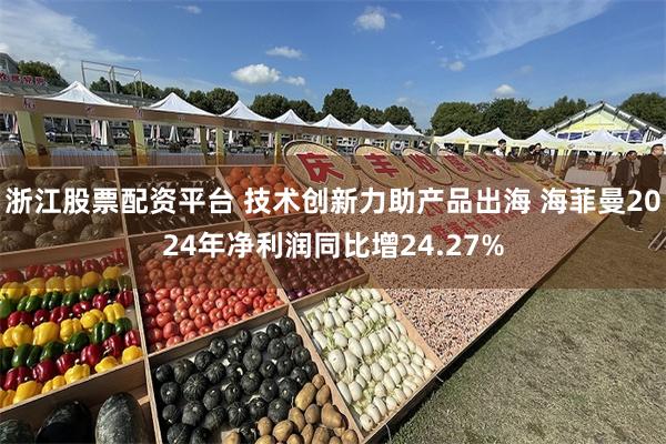 浙江股票配资平台 技术创新力助产品出海 海菲曼2024年净利润同比增24.27%