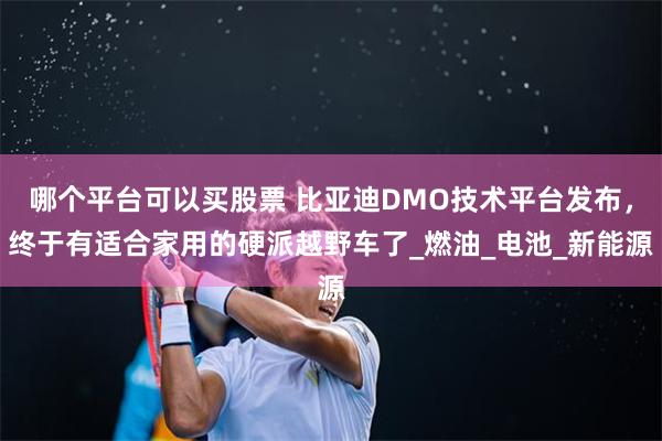 哪个平台可以买股票 比亚迪DMO技术平台发布，终于有适合家用的硬派越野车了_燃油_电池_新能源
