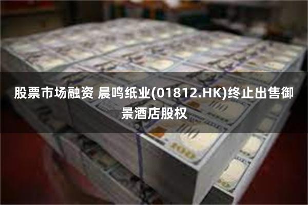 股票市场融资 晨鸣纸业(01812.HK)终止出售御景酒店股权