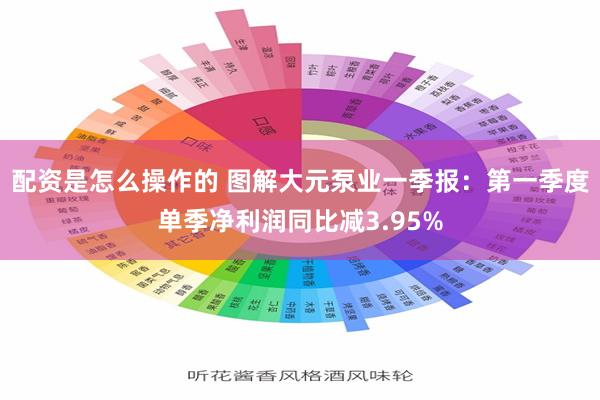 配资是怎么操作的 图解大元泵业一季报：第一季度单季净利润同比减3.95%