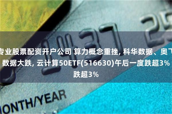 专业股票配资开户公司 算力概念重挫, 科华数据、奥飞数据大跌, 云计算50ETF(516630)午后一度跌超3%