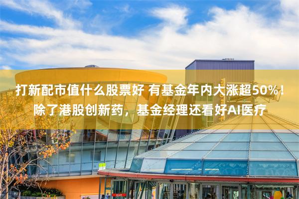 打新配市值什么股票好 有基金年内大涨超50%！除了港股创新药，基金经理还看好AI医疗