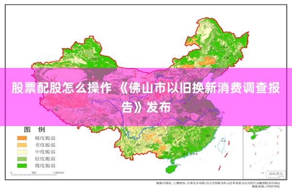 股票配股怎么操作 《佛山市以旧换新消费调查报告》发布