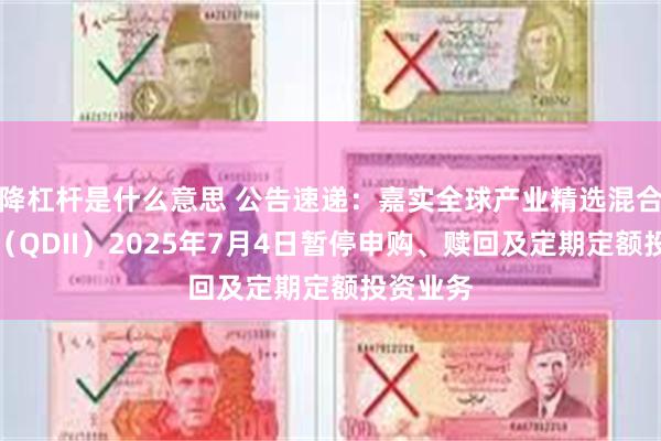 降杠杆是什么意思 公告速递：嘉实全球产业精选混合发起式（QDII）2025年7月4日暂停申购、赎回及定期定额投资业务