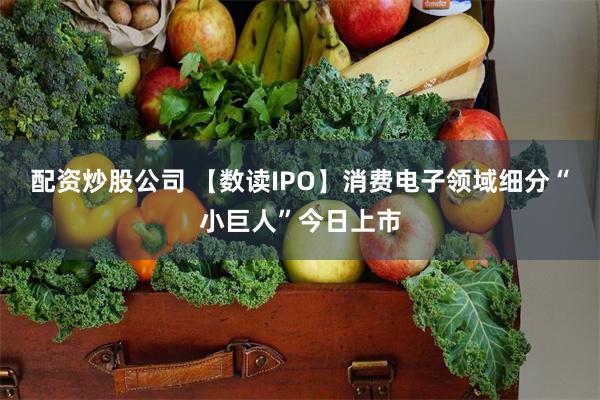 配资炒股公司 【数读IPO】消费电子领域细分“小巨人”今日上市