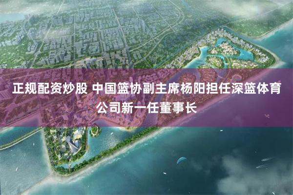 正规配资炒股 中国篮协副主席杨阳担任深篮体育公司新一任董事长