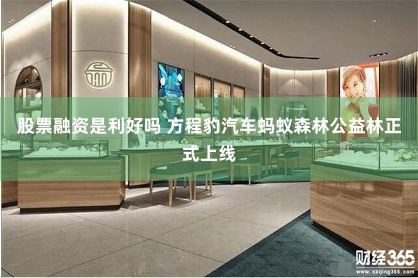 股票融资是利好吗 方程豹汽车蚂蚁森林公益林正式上线
