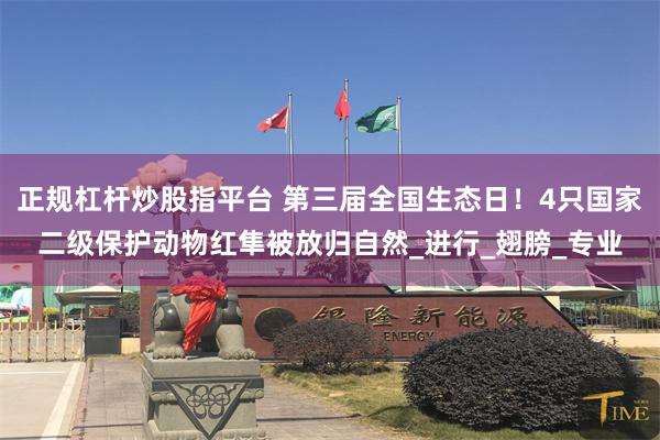 正规杠杆炒股指平台 第三届全国生态日！4只国家二级保护动物红隼被放归自然_进行_翅膀_专业