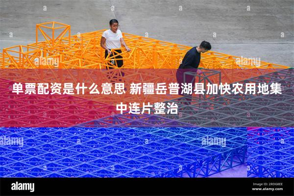 单票配资是什么意思 新疆岳普湖县加快农用地集中连片整治