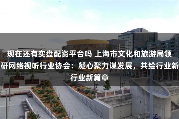 现在还有实盘配资平台吗 上海市文化和旅游局领导调研网络视听行业协会：凝心聚力谋发展，共绘行业新篇章